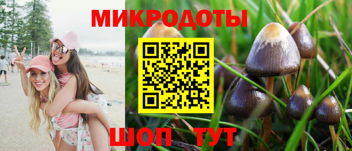 Галлюциногенные грибы Psilocybe Калач-на-Дону