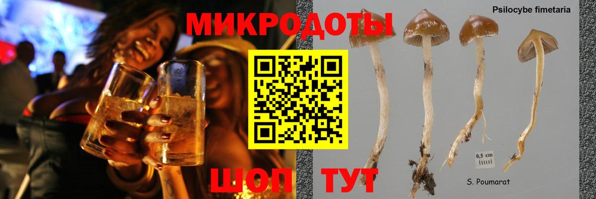 Псилоцибиновые грибы Psilocybine cubensis  Вход с VPN  Калач-на-Дону 